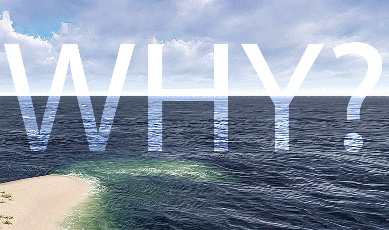 "Why?" written over an ocean horizon. Shoreline is visible in the lower left corner.